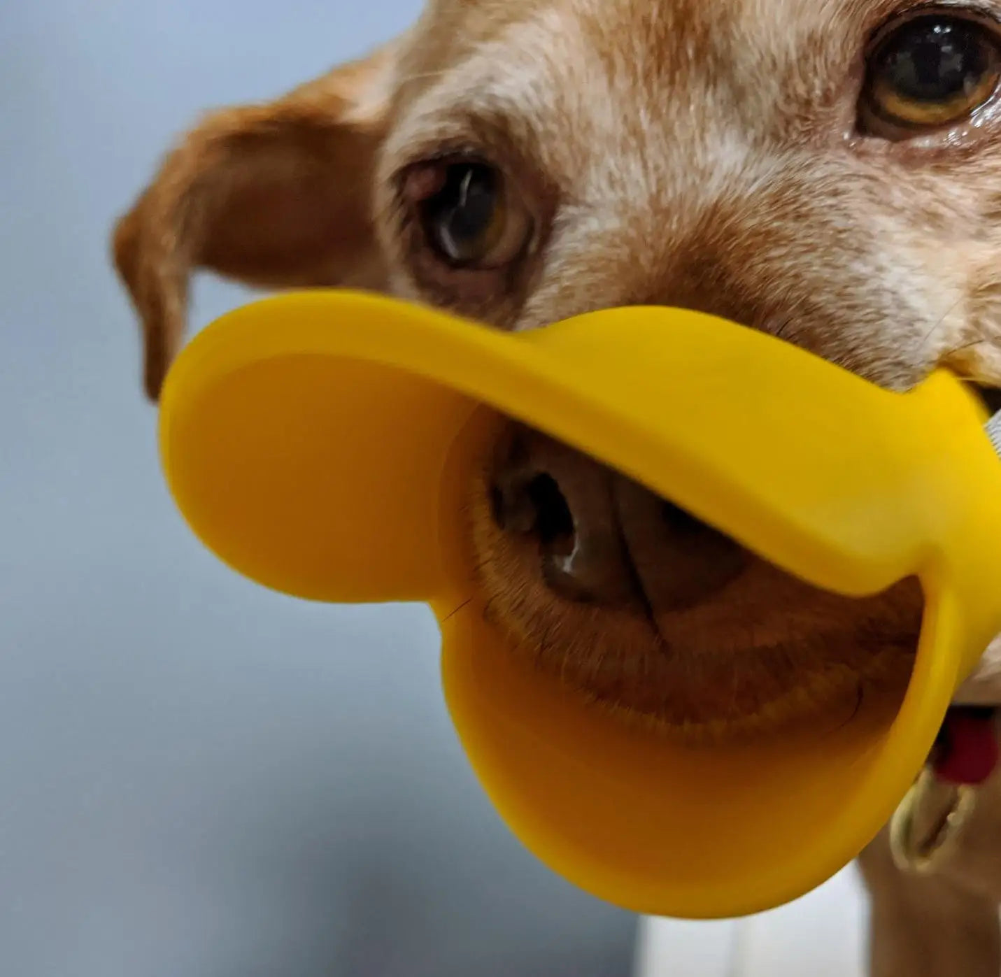 Anti Bite Duck Mouth Shape