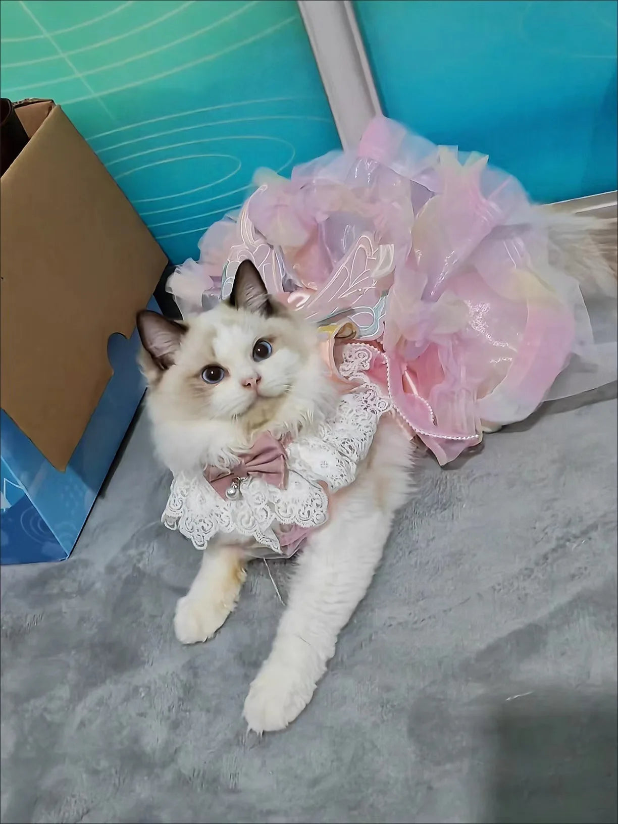 Cat Dog Princess Dress Clothes