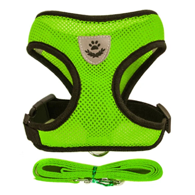 Cat Harness