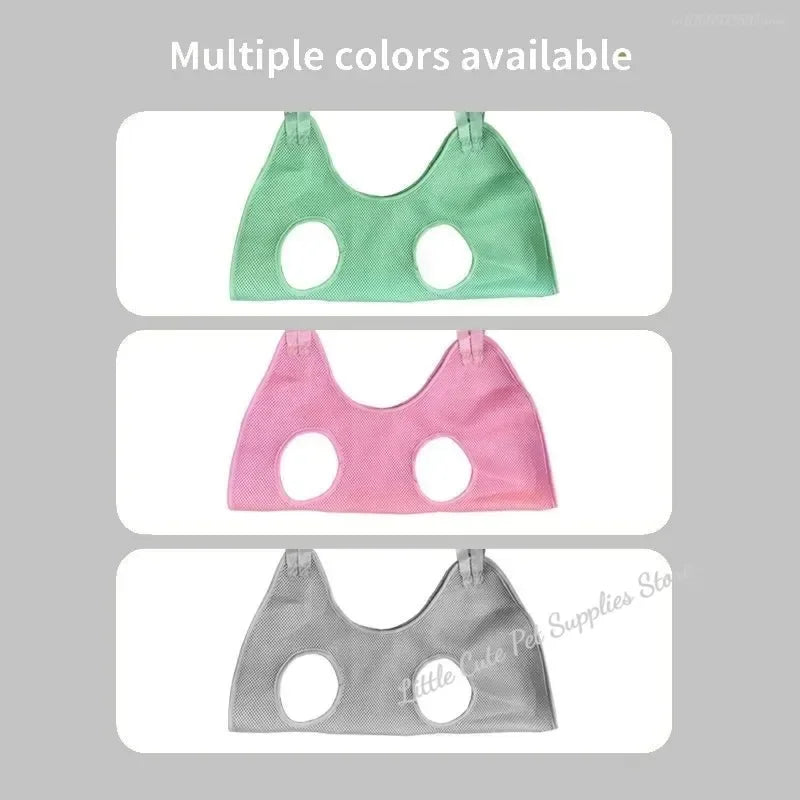 Cat Grooming nail cutting