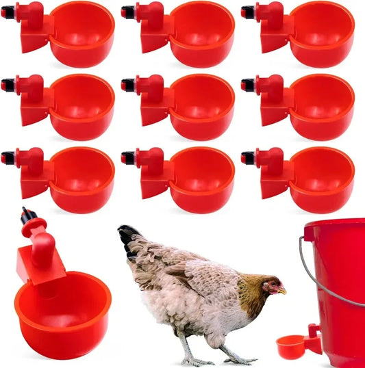 10/20/30Pcs Chicken Water, food cups
