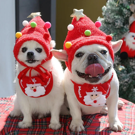 Christmas Pet Hat & Drool Bib