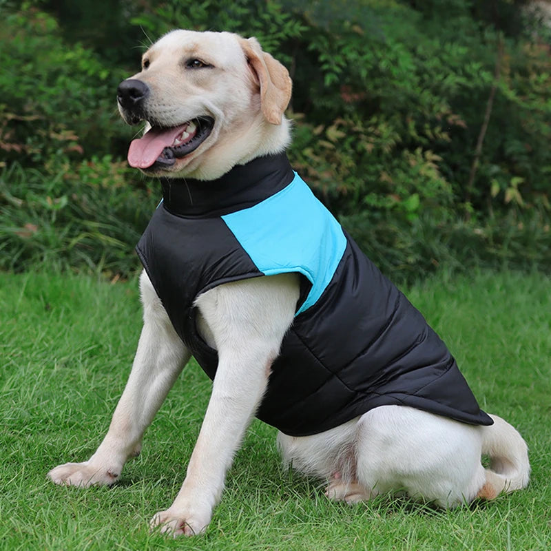 8 Size S-5XL Winter Dog cat, puppy vest coat jacket