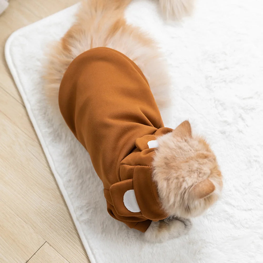 Cute Hairless Cat Clothes