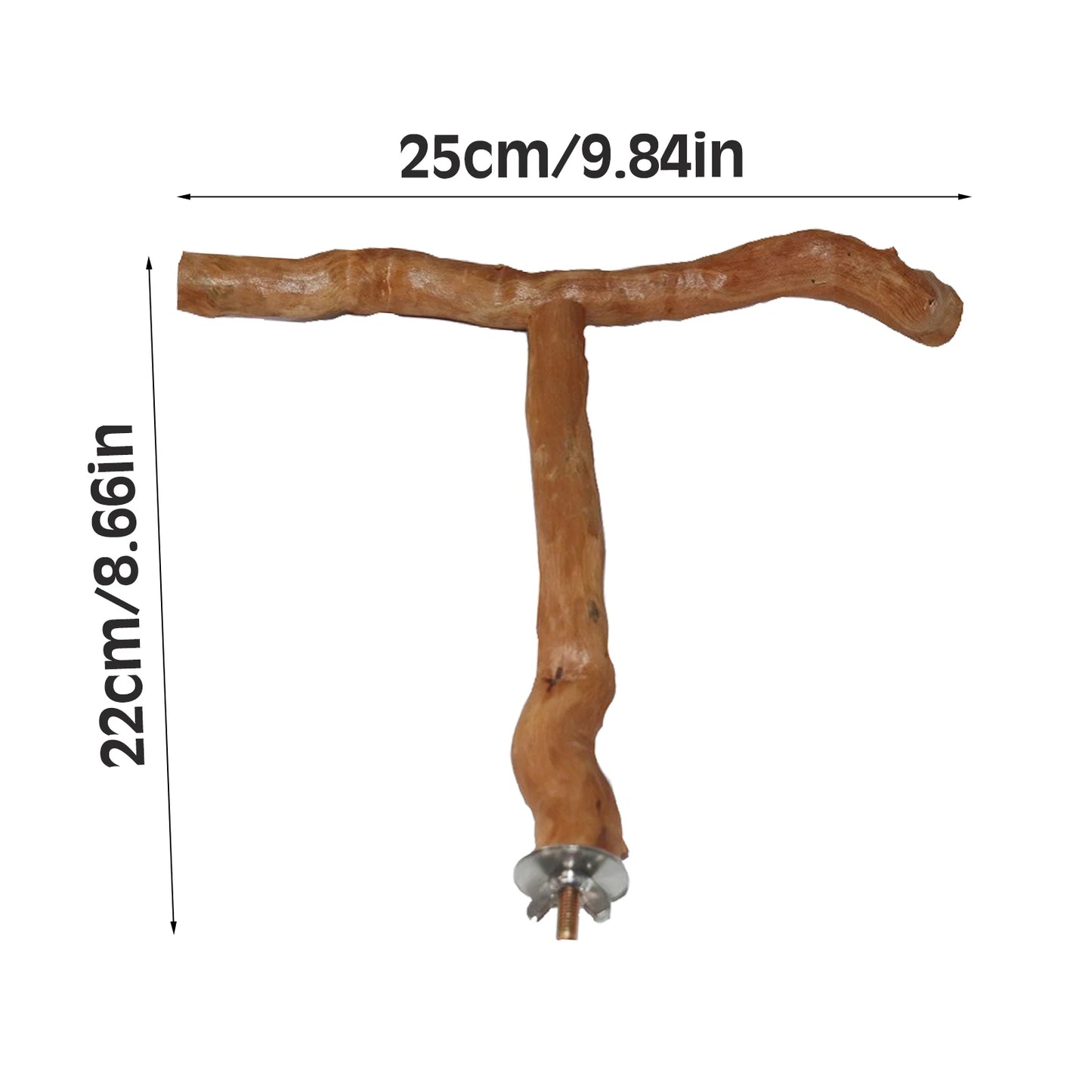 Pet Parrot Bird Standing Stick