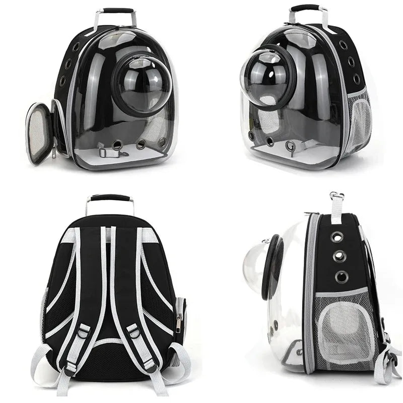 Transparent Cat Backpack