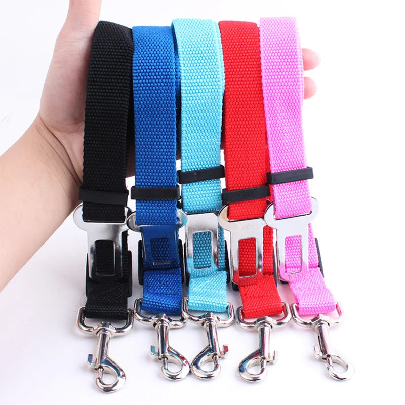 Car Seat Belt Buckle