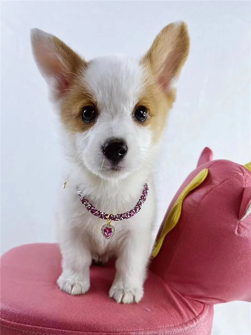 Crystal Cat Collar Heart Gem Pendant