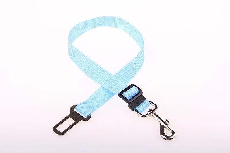 Car Seat Belt Buckle
