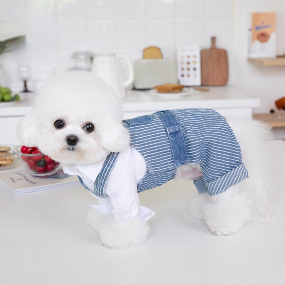 Pet Autumn Winter Striped Patchwork Denim Straps Dog Pants