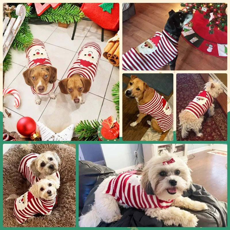 Dog Sweater Christmas