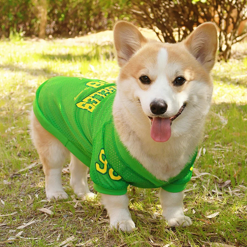 Summer Pet Dog Cooling Vest