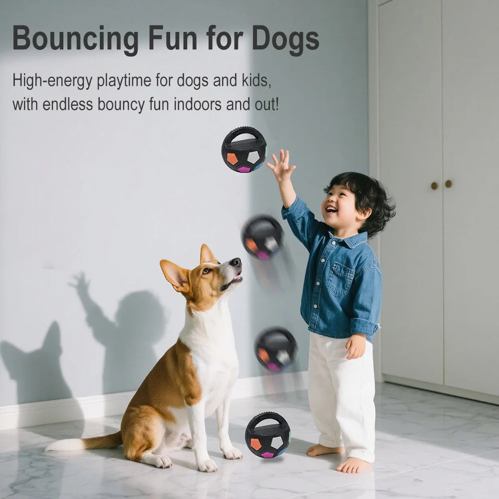 Pet Dog Toy Football Shape