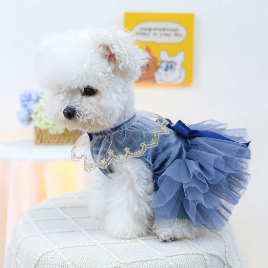 1PC Pet Blue Bow Royal Dress