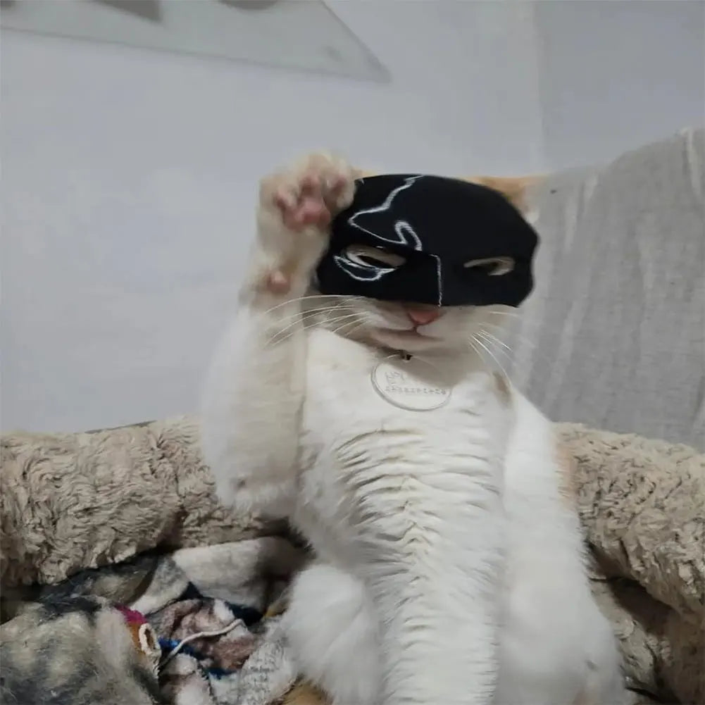 Cat Bat Cool Man Mask