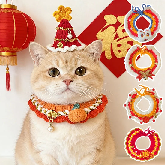 Cat New Year Costume