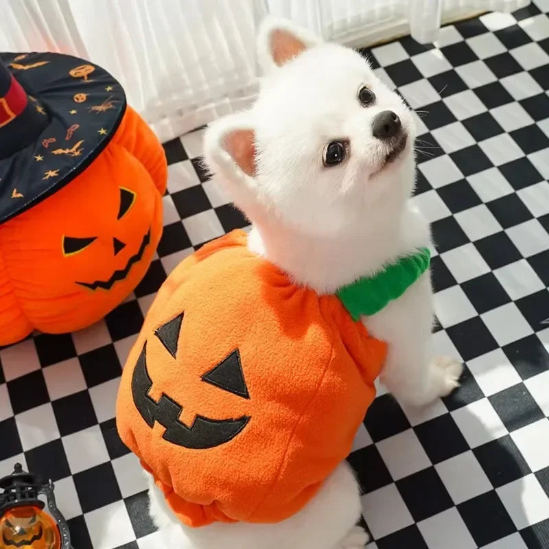 Halloween Pumpkin Vest For Dogs Cats