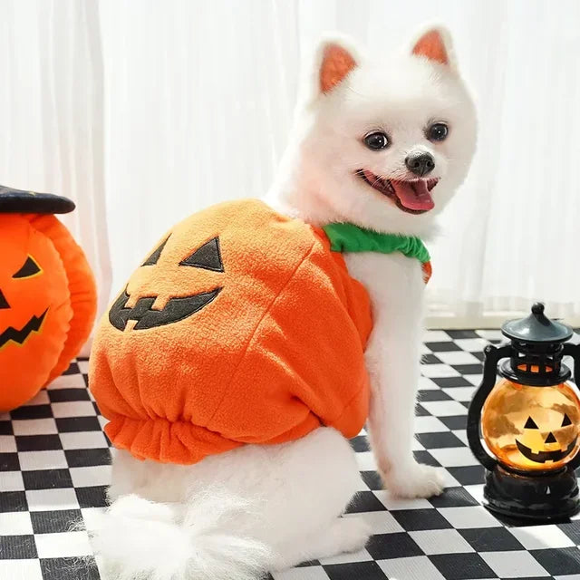Halloween Pumpkin Vest For Dogs Cats