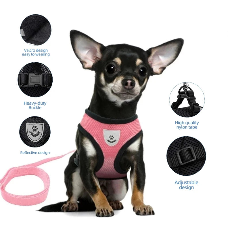 Cat Harness