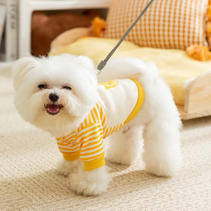 Cute Dog Hoodies 2025