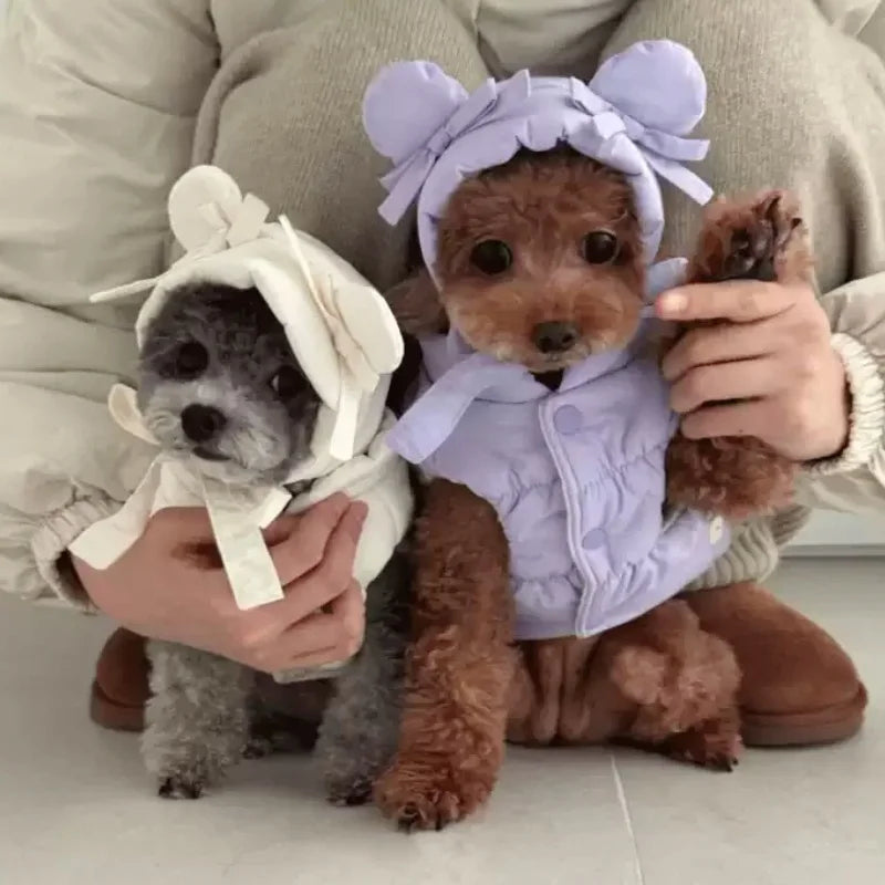 Winter Padded Dog Jacket Coat