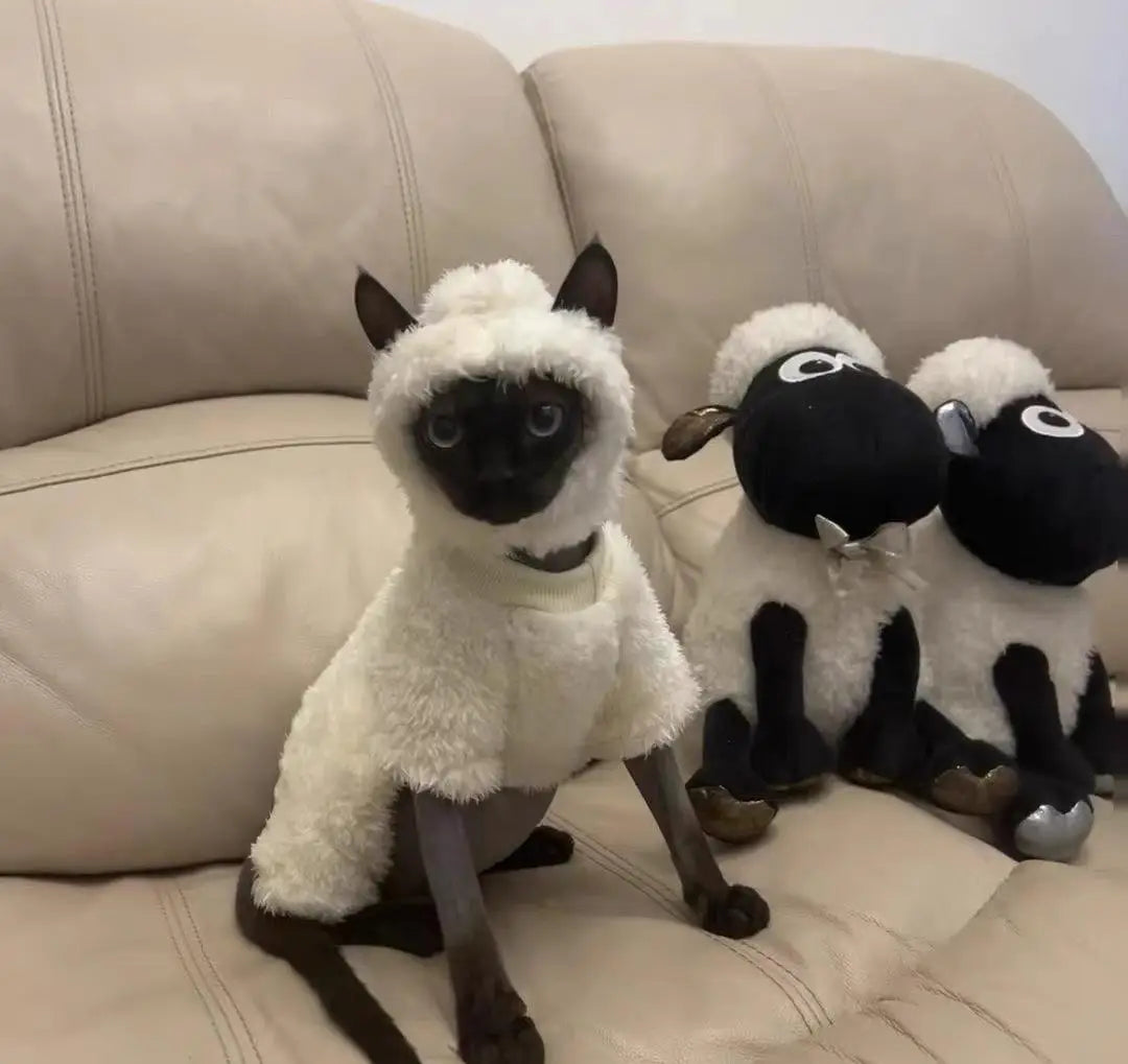 Hairless cat clothes