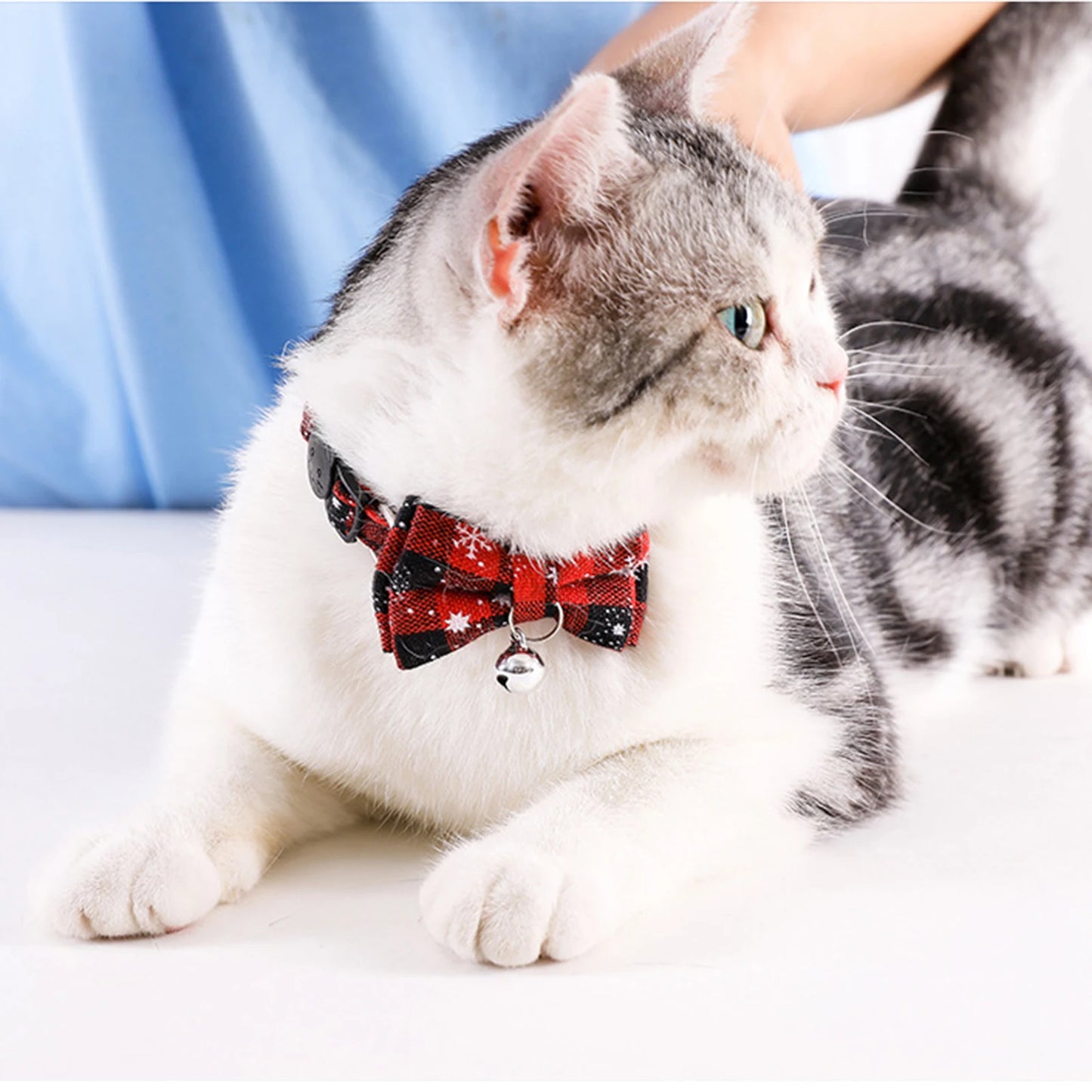 Pet Breakaway Cat Collar Bow Tie And Bell