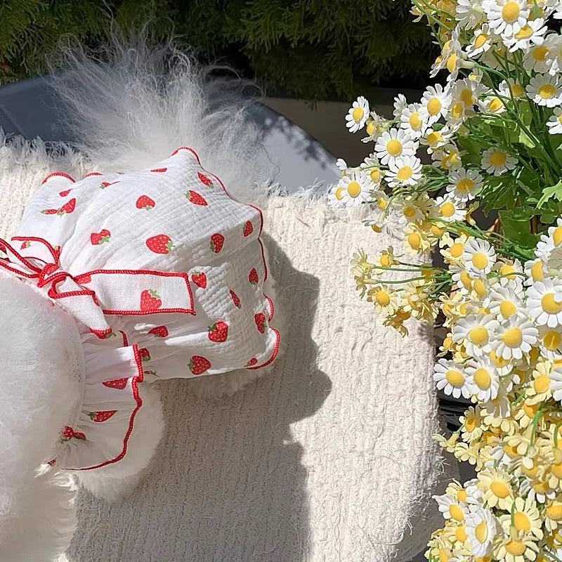 Strawberry Print Pet Dog Dress 2025