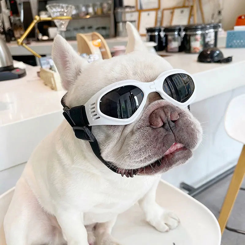 Foldable Pet Glasses