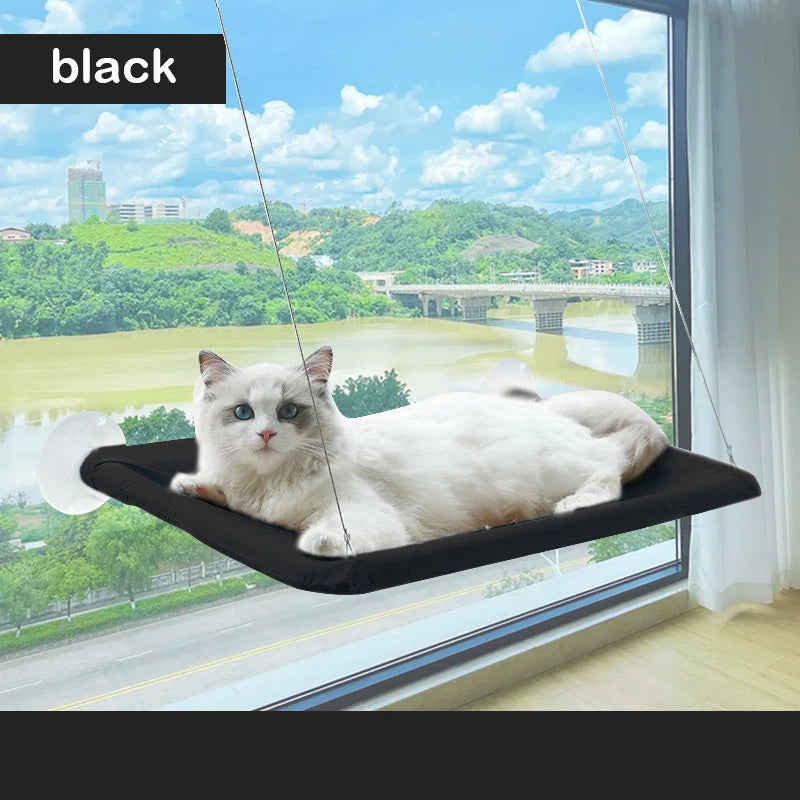 Cat Hammock