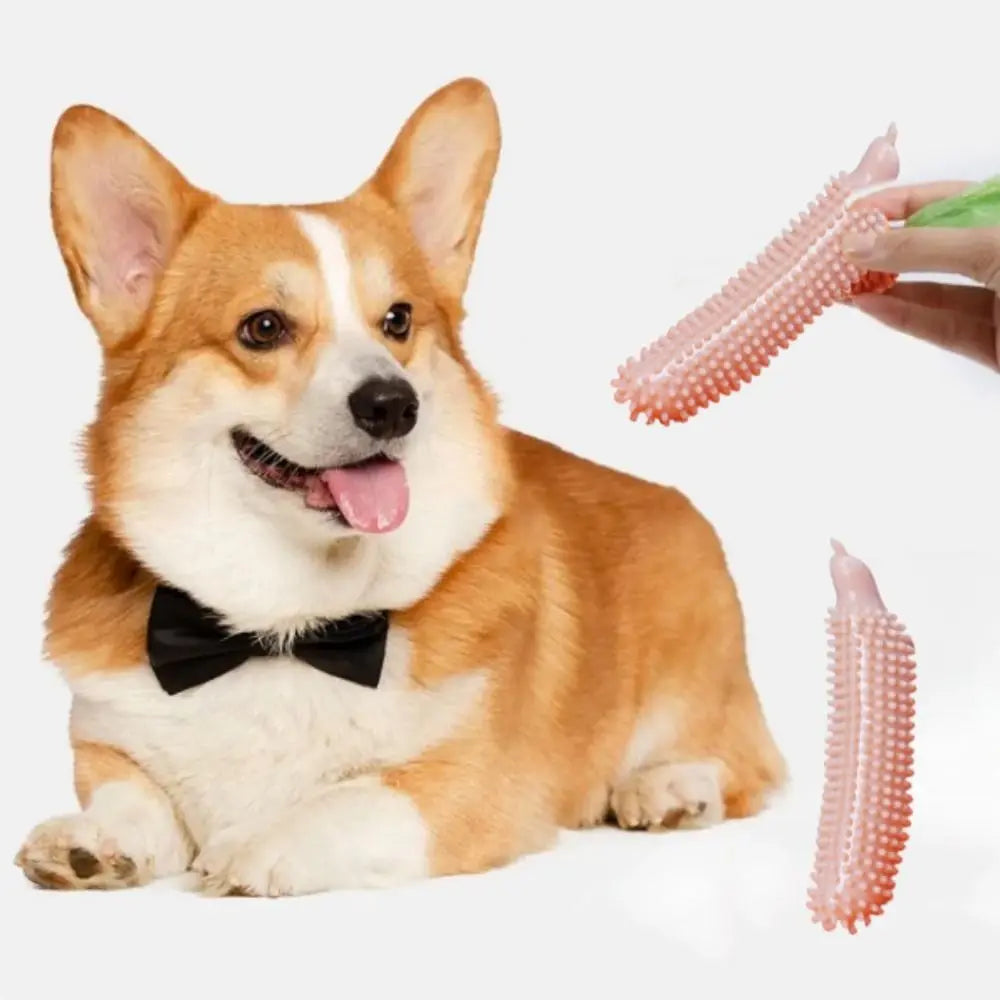 Cucumber Shape Dog Teeth Grinding Stick
