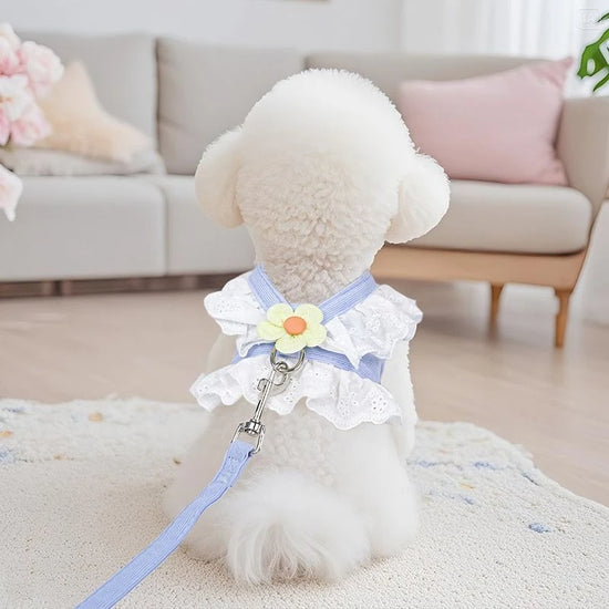 Cute Floral Cat Harness and Vest Set,