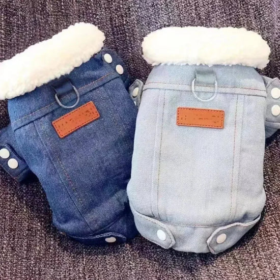 Dog Puppy Coat Jacket