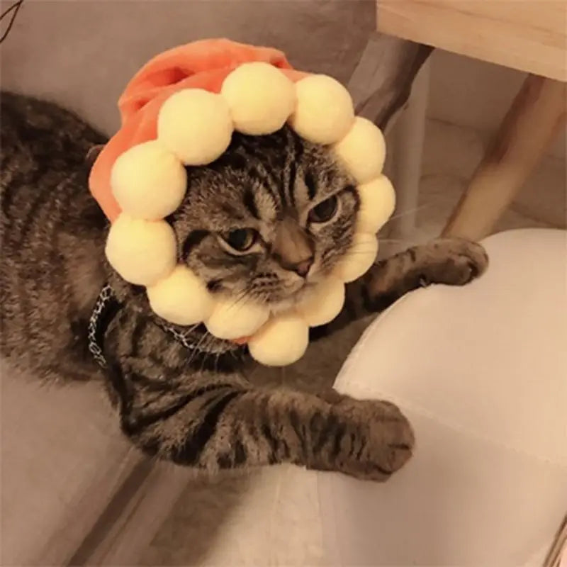 Halloween Funny Pet Cat Cap Costume