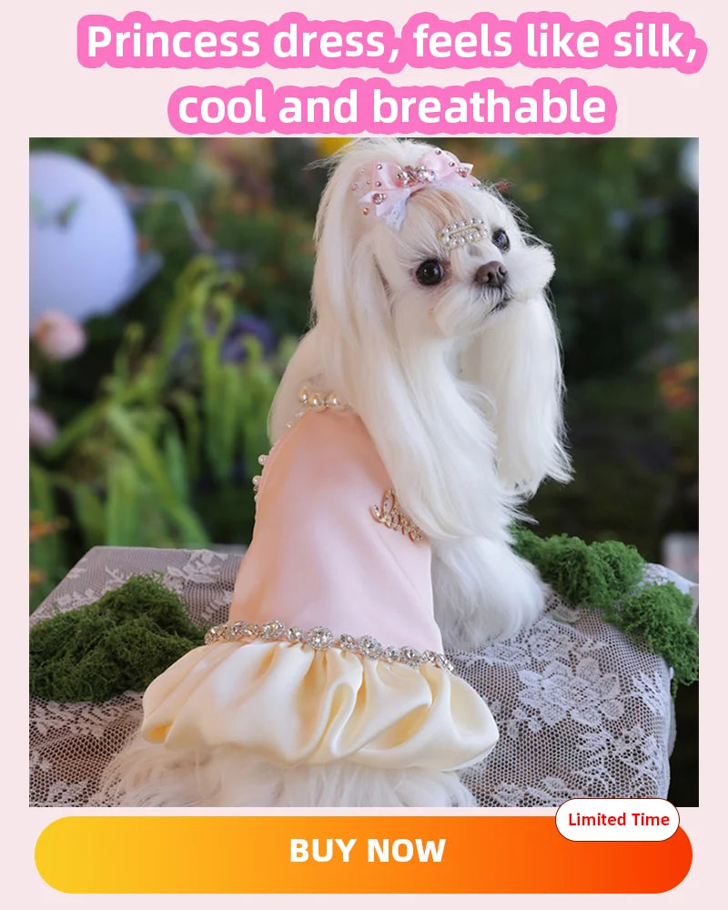 Luxury Small Pet Dog Sweate