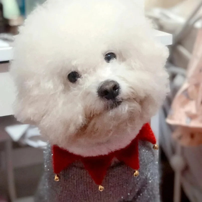 2025 Christmas Pet Collar