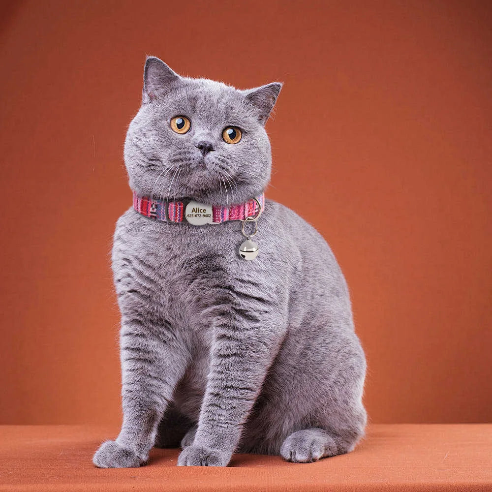 Personalized Nylon Cat Collar