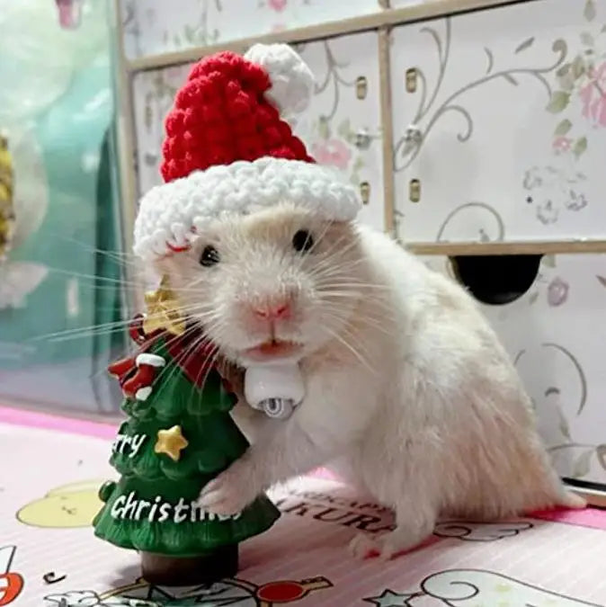 Hand Woven Hampster Christmas Hat