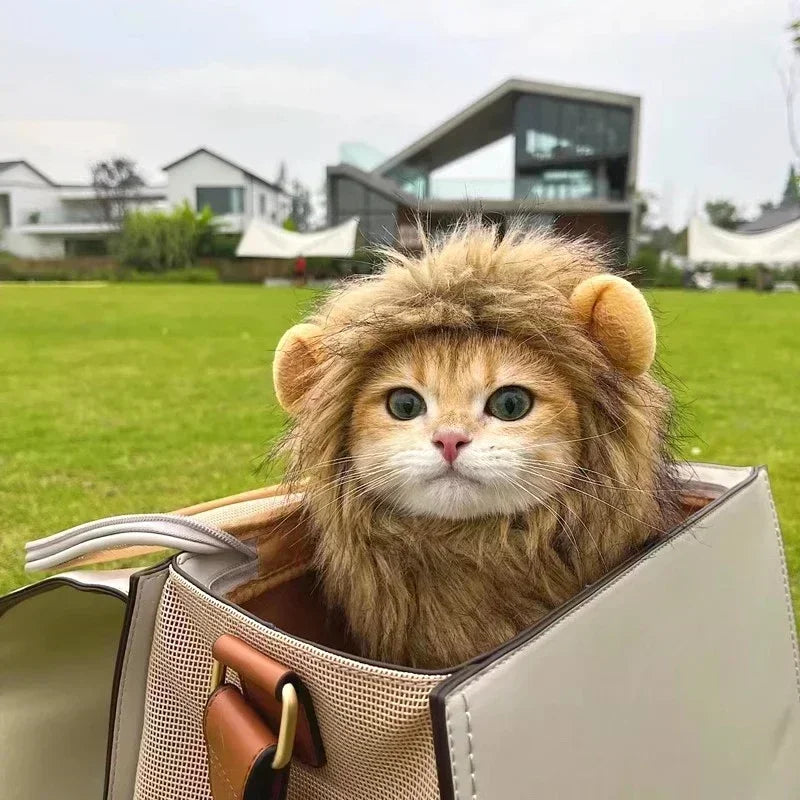 Cat Cosplay Dress Up Pet Hat Lion Mane