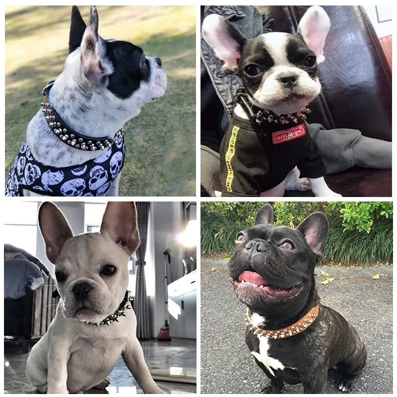 Leather Pet Dog collar