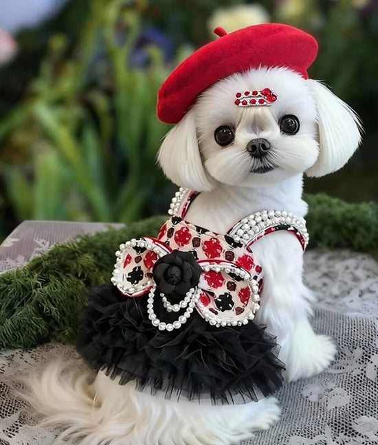 Gentry Girl-Style Pearl Bow Winter Halter Pet Dress