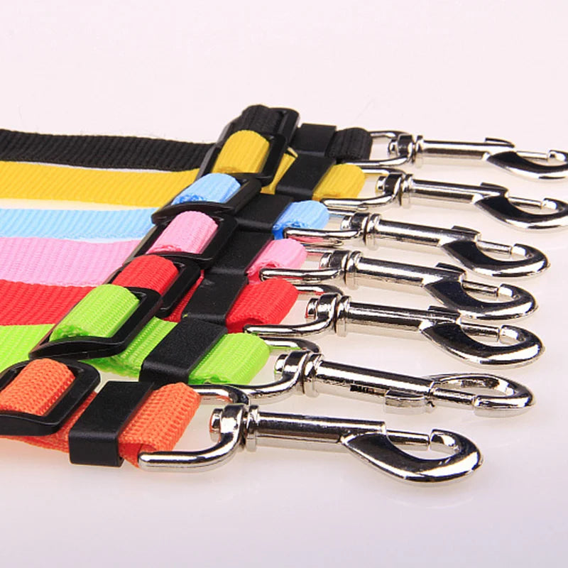 Car Seat Belt Buckle