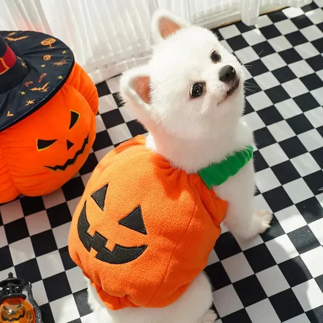 Halloween Pumpkin Vest For Dogs Cats
