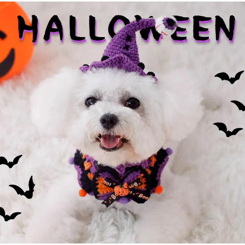 Halloween Dog & Cat Collar