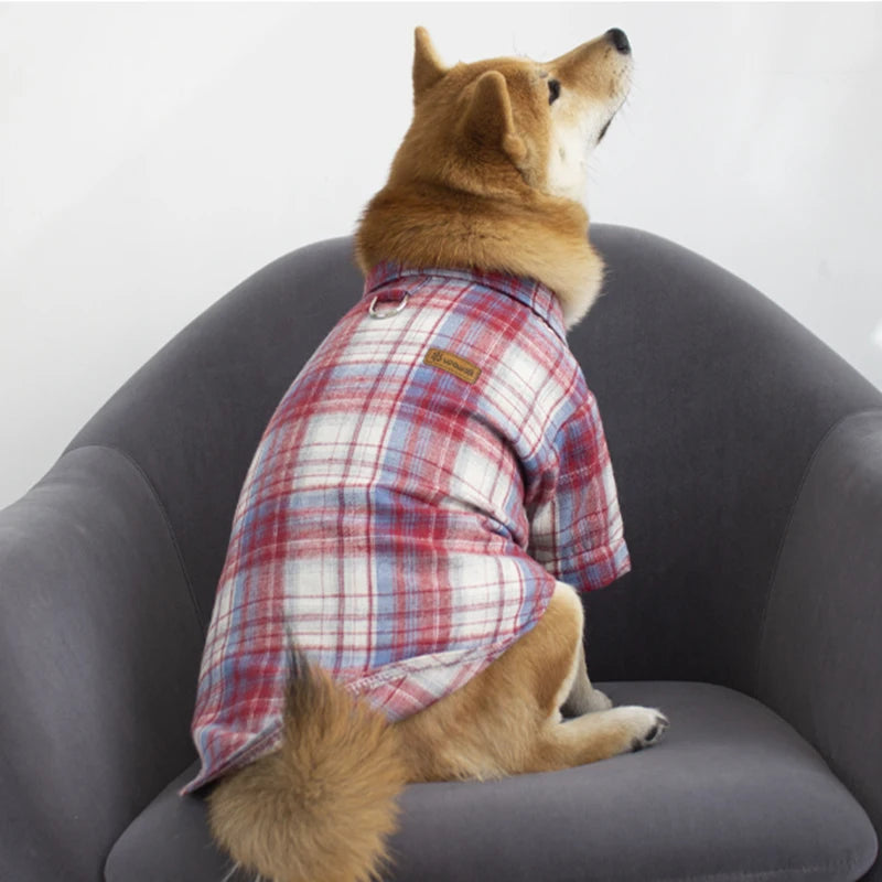 British Style Cat Dog Shirt