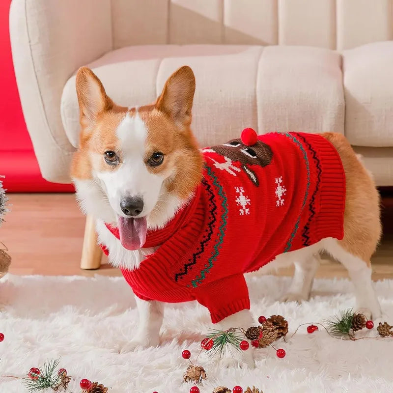 Christmas Dog Sweater