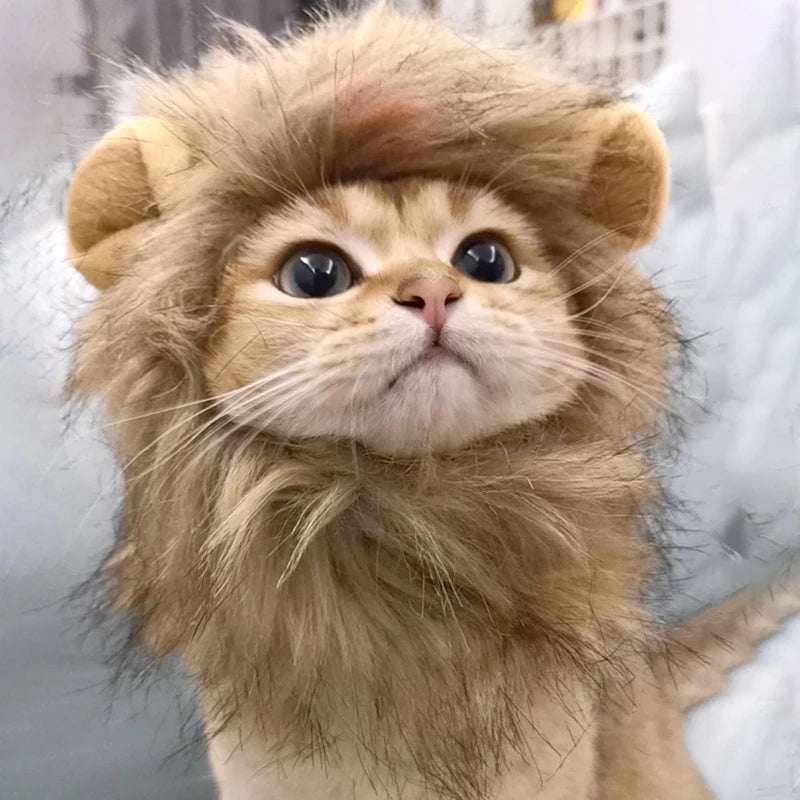 Cat Cosplay Dress Up Pet Hat Lion Mane