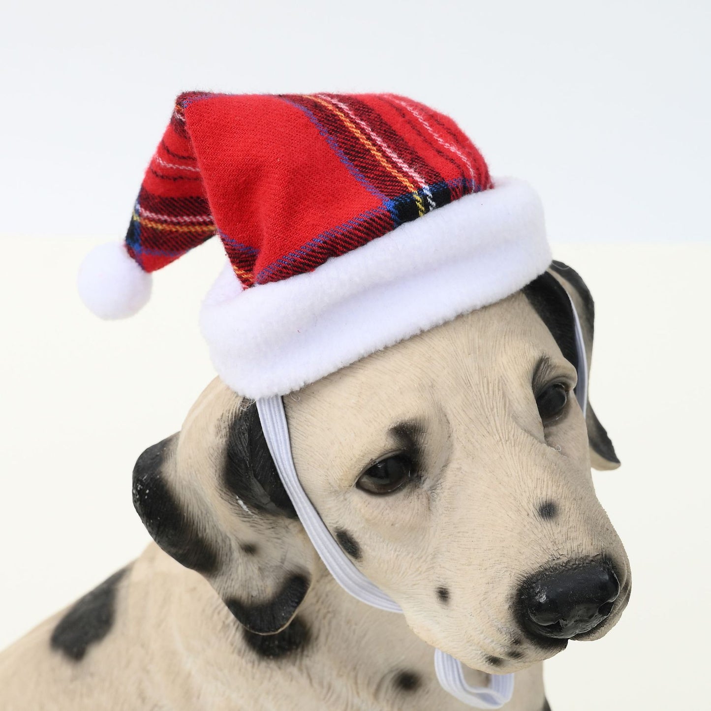 dog and cat Christmas hats