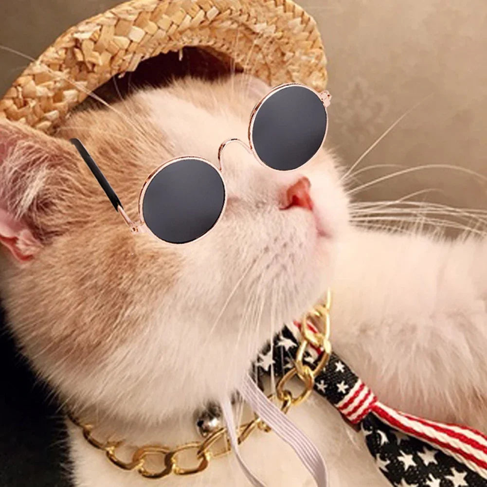 Pet Accessories Cat Glasses