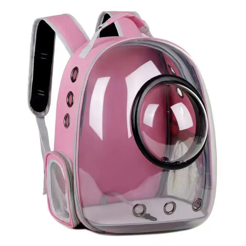 Transparent Cat Backpack